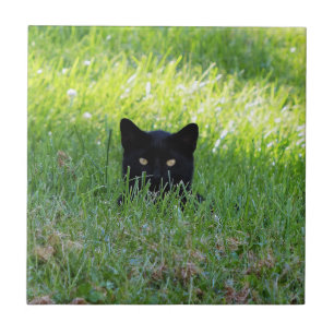 Panther i Grass Kakelplatta