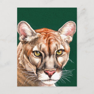 Panther Porträtt Vykort