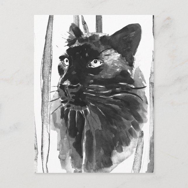 Panther Porträtt Vykort (Framsida)