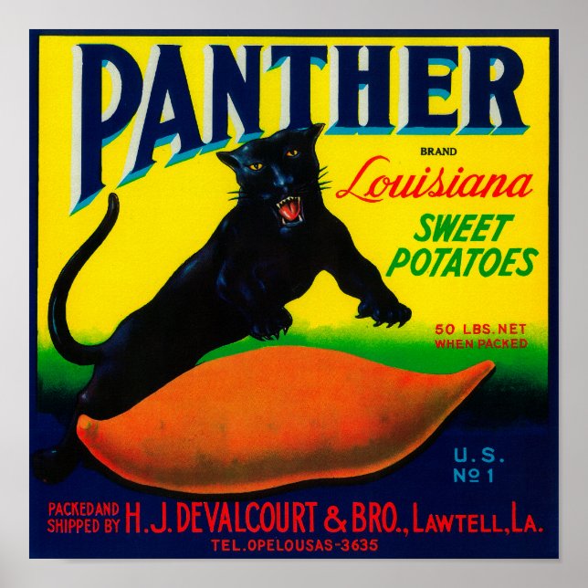 Panther Yam LabelLawtell, LA Poster (Framsidan)