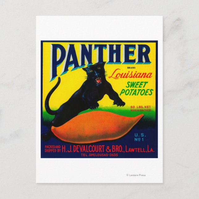 Panther Yam LabelLawtell, LA Vykort (Framsida)