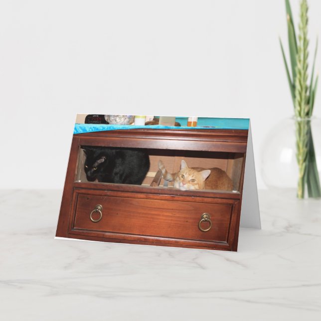 Panty Raid Kort (Framsida)