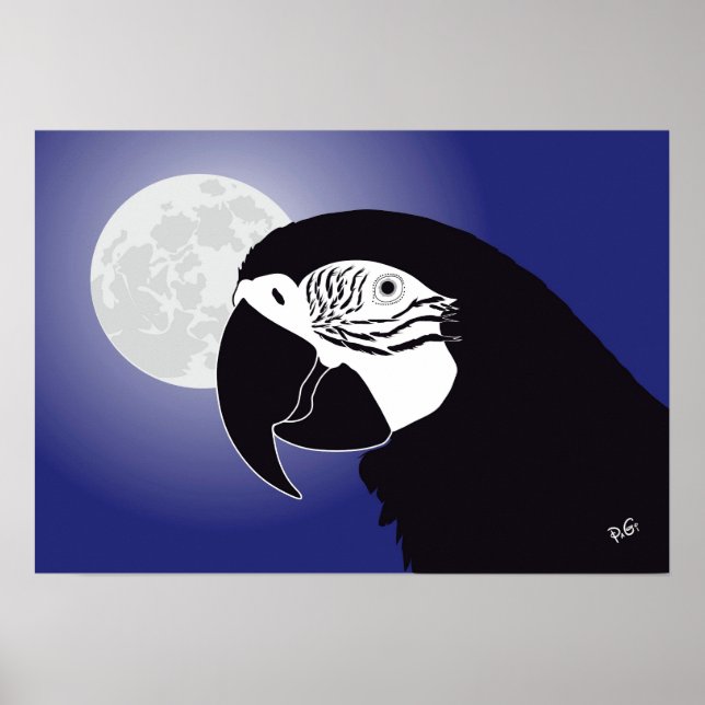 Papagei Ara Poster (Framsidan)