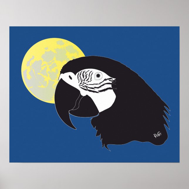 Papagei Ara Poster (Framsidan)