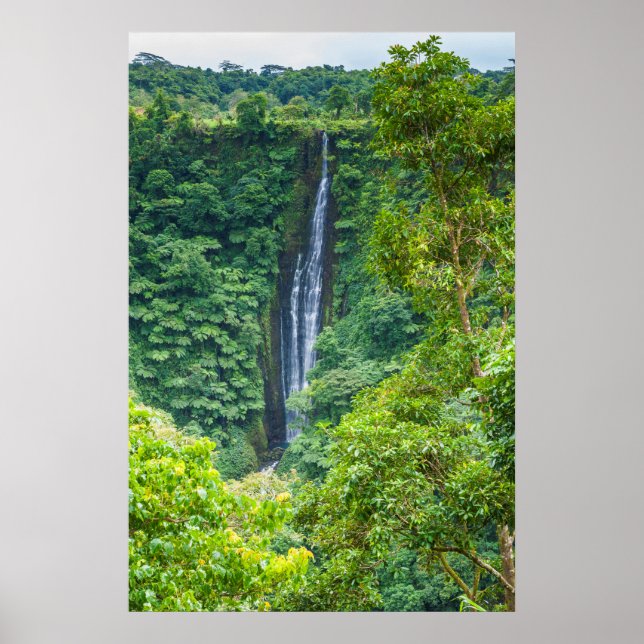 Papapapaitai Waterfall i Jungle Poster (Framsidan)