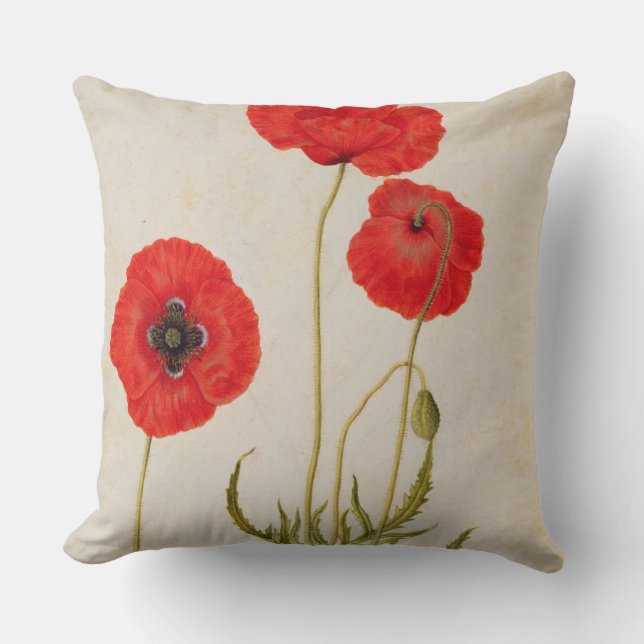 Papavar rhoeas, c.1568 kudde (Framsida)