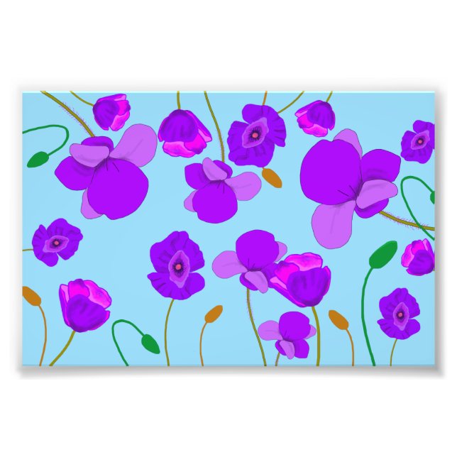 Papaver Poppy Lilac på blek-blå bakgrund Fototryck (Framsidan)
