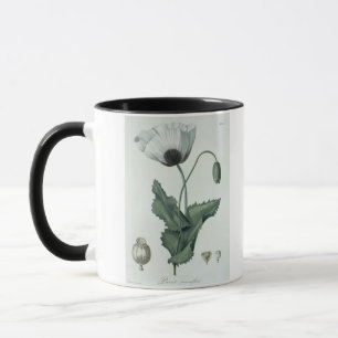 Papaver - somniferum från "Phytographie Medicale" Mugg