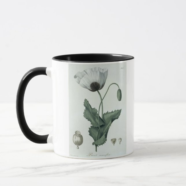 Papaver - somniferum från "Phytographie Medicale" Mugg (Vänster)