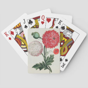 Papaver somniferum och Papaver rheas graverade med Casinokort