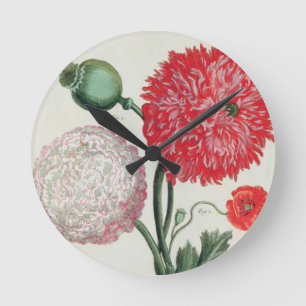 Papaver - somniferum och Papaverrheas som inristas Rund Klocka