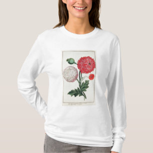Papaver - somniferum och Papaverrheas som inristas Tee