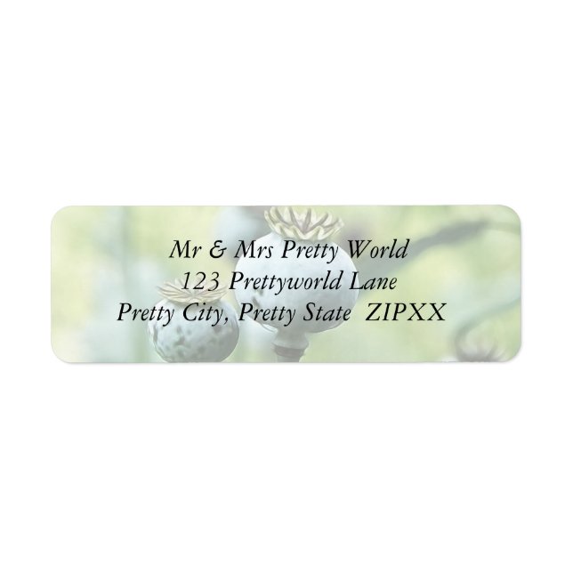 Papaver Somniferum Seed-huvuden Returadress Etikett (Framsidan)