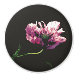 Papaver Sugarplum Ceramic Knob Knopp