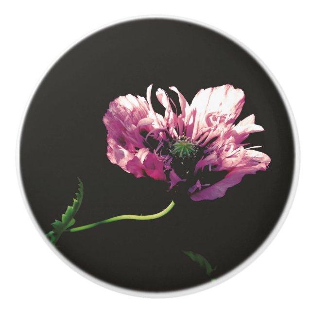 Papaver Sugarplum Ceramic Knob Knopp (Framsidan)