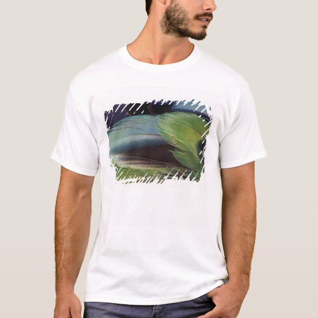 Papegoj fjädermönster design tröja (Framsida)