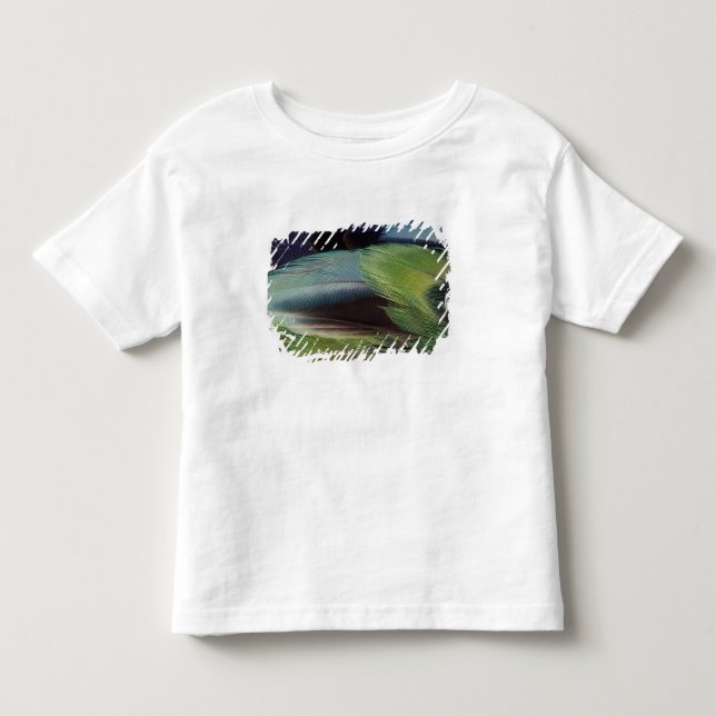 Papegoj fjädermönsterdesign tee (Framsida)