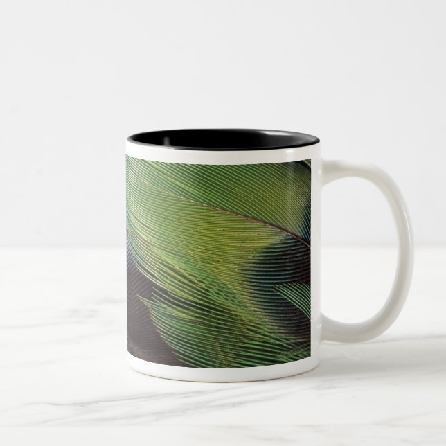 Papegoj fjädermönsterdesign Två-Tonad mugg (Höger)