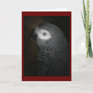 PAPEGOJA 4-GREY KORT