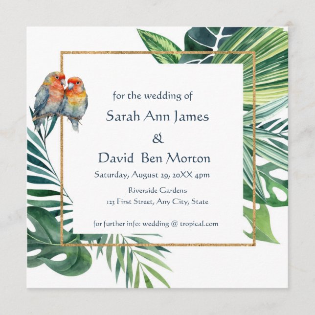 Papegoja älskling Fågel Tropisk Natur Spara datume Datumet (Framsida)