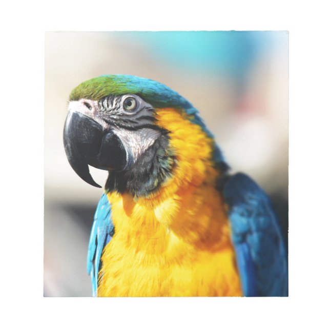 papegoja anteckningsblock (Framsida)