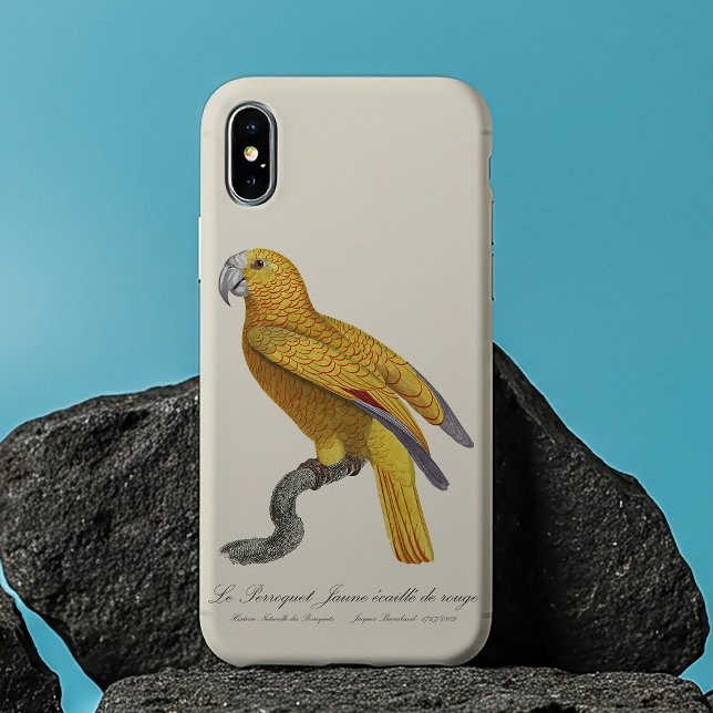 Papegoja av Paradiset av Kuba, Psittacus Paradisi (Le Perroquet Jaune ecaille de rouge. iPhone 13 Pro Max Case)