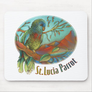 Papegoja av Saint Lucia Musmatta