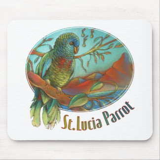 Papegoja av Saint Lucia Musmatta