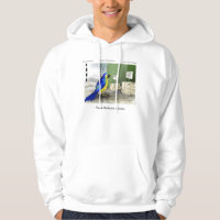 Papegoja Badrumsinredningar Rolig Tecknad Hoodie a
