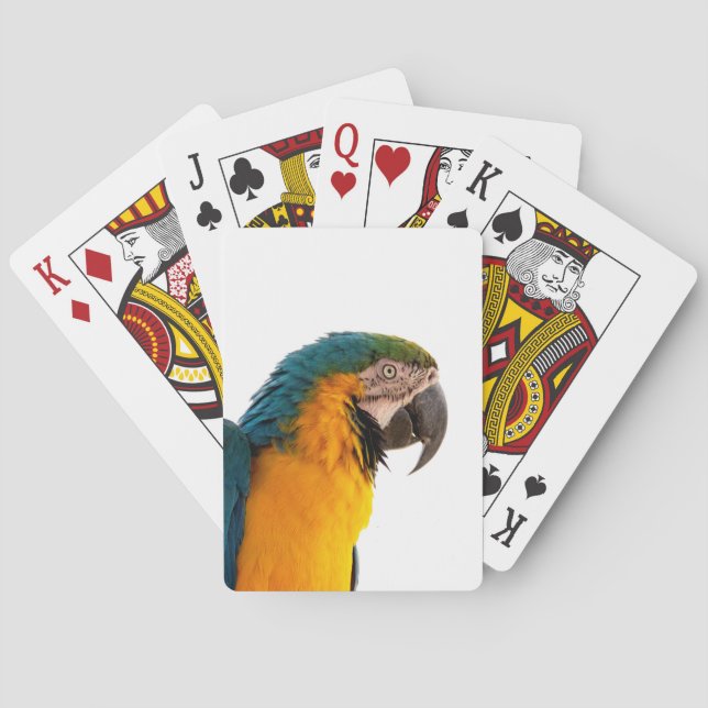 Papegoja Casinokort (Baksidan)