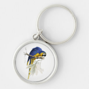 Papegoja för vintageblått- och gultMacaw Rund Silverfärgad Nyckelring