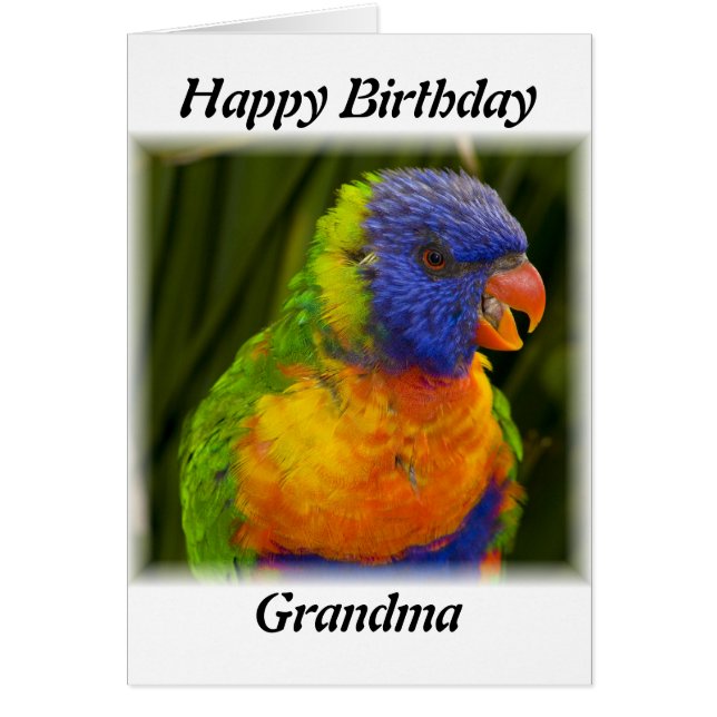 papegoja hälsningskort (Framsidan)