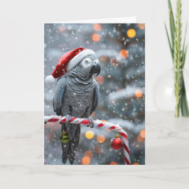 Papegoja Holiday Card — Vinter Vonder  Kort