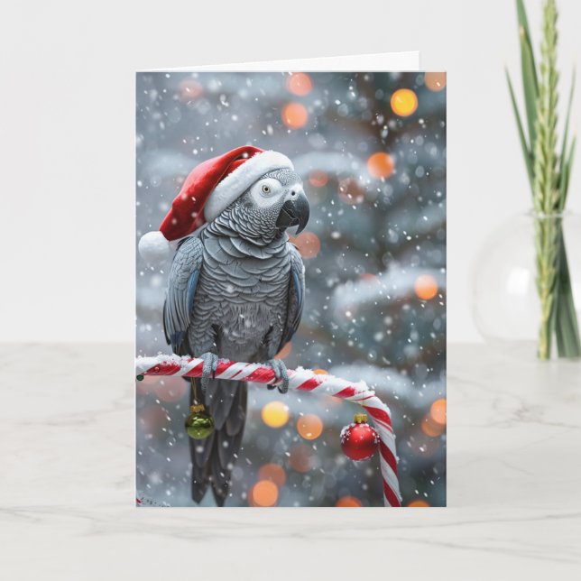 Papegoja Holiday Card — Vinter Vonder  Kort (Framsida)