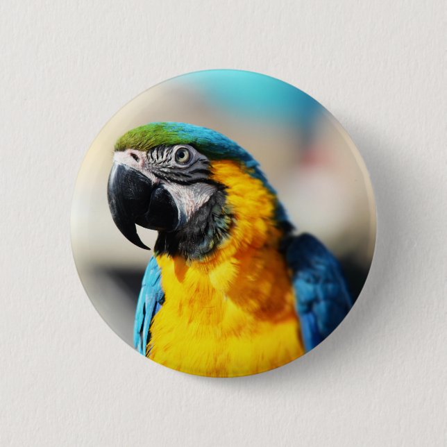 papegoja knapp (Framsida)