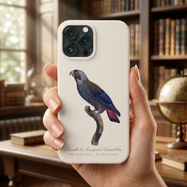 Papegoja med blå krage / Mörk papegoja (Dusky Parrot or Dusky Pionus, Pionus fuscus. iPhone Case)
