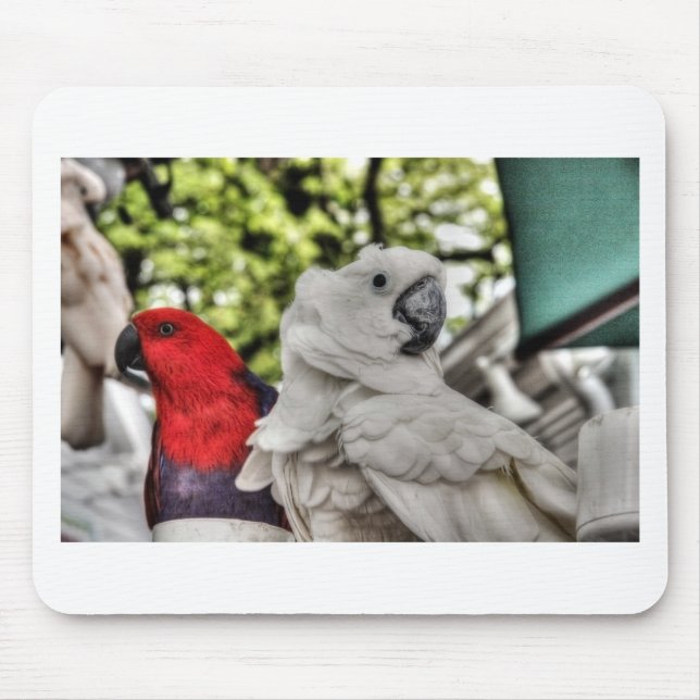 Papegoja och kakadua musmatta (Framsidan)