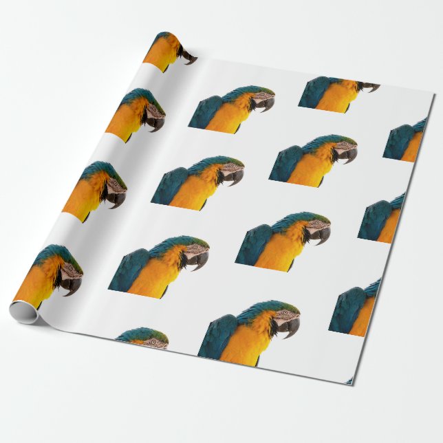 Papegoja Presentpapper (Utrullad)