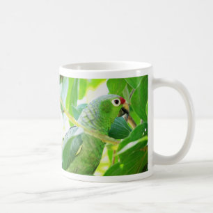 Papegoja Rio Chagres, Panama Kaffemugg