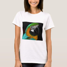 Papegoja