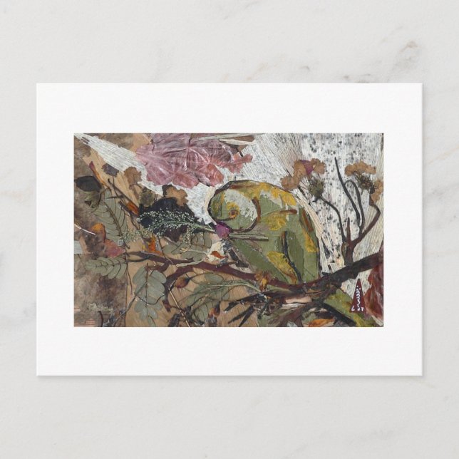 papegoja vykort (Framsida)