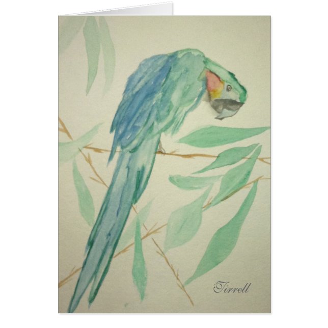 Papegojan Hälsningskort (Framsidan)
