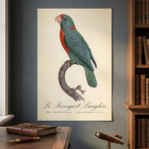 Papegojan Langlois av Jacques Barraband Poster