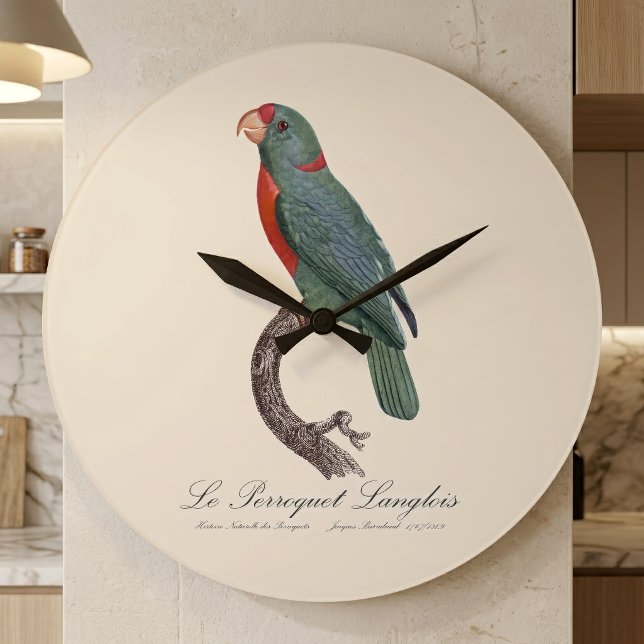 Papegojan Langlois av Jacques Barraband Stor Klocka (Le Perroquet Langlois by Jacques Barraband. Large Clock)