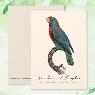 Papegojan Langlois av Jacques Barraband Tack Kort