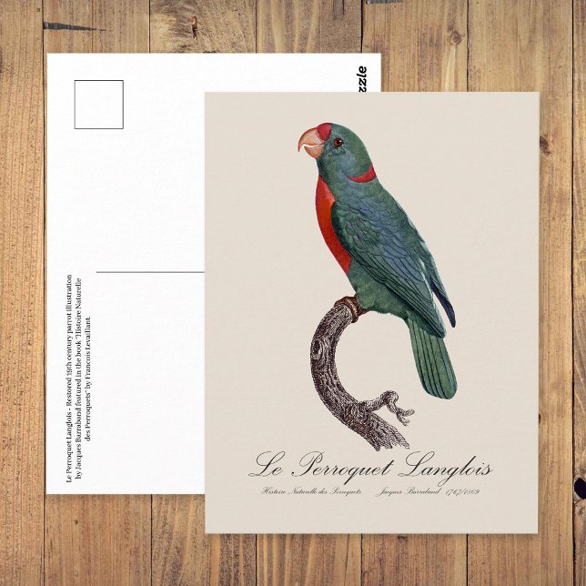 Papegojan Le Perroquet Langlois av Jacques Barraba Vykort (Le Perroquet Langlois by Jacques Barraband. Postcard)