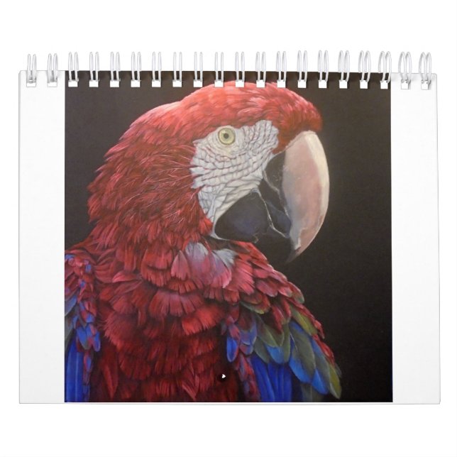 Papegojapassionkalender för dig kalender (Omslag)