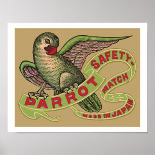 Papegojasäkerhetsmatcher Poster
