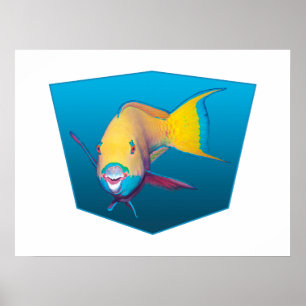 Papegojfisk - Design blå gradientbakgrund    Poster