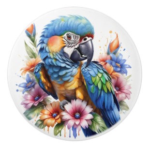 Papegojor Färgglada Tropiska Knopp